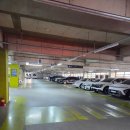 진해구 신항동로 121 (스타벅스 진해부산신항 점) 앞 | 진해용원동맛집 // 진해놀이터식당 // 정성순대 부산신항점