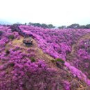 (특강)부동산 경·공매의 이해(야간) 이미지