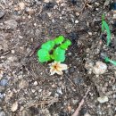 구억농장 이미지