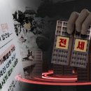 4137 이미지