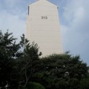 분당-313 이미지