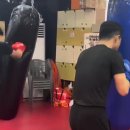 번영 복싱체육관 이미지