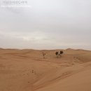 아라비안관광나이트 이미지