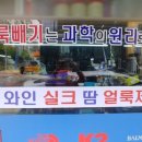 양지세탁 얼룩빼기 전문점 이미지