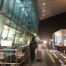 (주)티비스켓 | 할머니 모시고 겨울 제주도 다녀옴1 • 꽉찬 2박3일 제주도 효도여행(재미있게/아베베베이커리/남양수산...