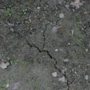 YELLOW HILL 이미지