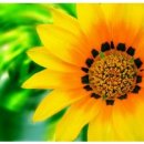 서울카오토타운 이미지