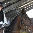 궁평목장 이미지