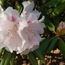 울산들꽃학습원 이미지