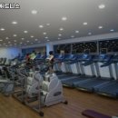 토마토휘트니스 이미지