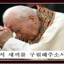 루비케이크 이미지