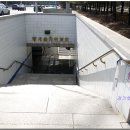 황새울교 앞 이미지