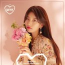 수지24 이미지