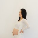 셋넷스튜디오