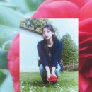 까멜리아 이미지