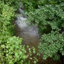 백사농장 이미지