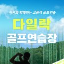 다일락스포렉스 이미지