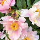 맑은하늘정형외과의원 이미지