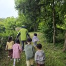 실내초병설유치원 이미지