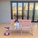 스테이 서하 이미지