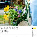 명동시장 이미지