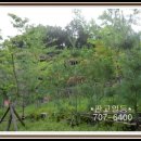 신미주1단지 아파트 이미지