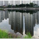 대봉교 이미지