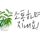 시영아파트(관) 이미지