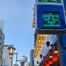 2024.12.15 나고야여행 2일차 : Waug 시라카와고 투어 후기
