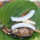 신태양사 | 부산 꼼장어 맛집 부산역 초량동 경북산꼼장어 양념반 소금반 솔직 후기