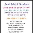 성인 발레스트레칭 Daum카페