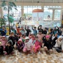 유덕태권도 이미지