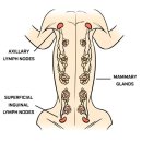 정겨운동물병원 이미지