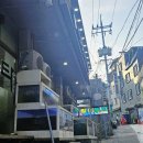 향토회식당 | 울릉도 도동 오징어물회 향토회식당, 마늘치킨이 유명한 마루통닭 솔직 후기