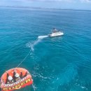 오케이하도 이미지