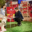 독스(Dog's) 이미지