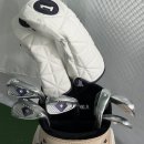 도곡골프랜드 | 도곡 골프매장 다이와 온오프 LP425 여성 풀세트 내돈내산 구입후기