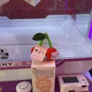 찌꼬뽀꼬 발산2호점 이미지