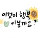 광주미트 네이버블로그