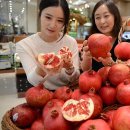 새콤달콤PC 이미지