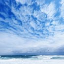 황태여행 이미지