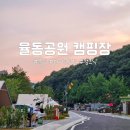 율동농장 | [율동공원캠핑장] 분당에 생긴 신상 캠핑장 장단점 솔직 후기｜반려견·아이와 도심 속 캠핑