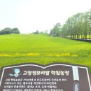나라네농장 | 보리나라 학원농장 방문후기 고창에서 푸르른 5월 되세요