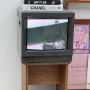 화원사진관 행궁동 사진관 돌아기 기념일 촬영 대망의 600일