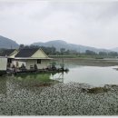 삼성낚시터 이미지