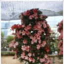 녹원농장 이미지