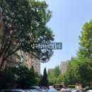 압구정-124 이미지