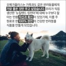 오메가플러스 이미지