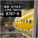 979 | 스쿠트 항공 TR979 이용 홍콩에서 싱가포르 입국 후기