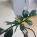 부평우체국 이미지